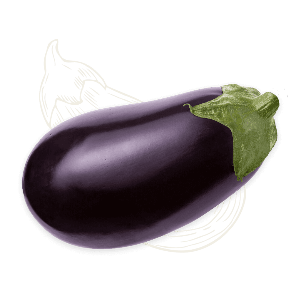 Eggplant Sketch min