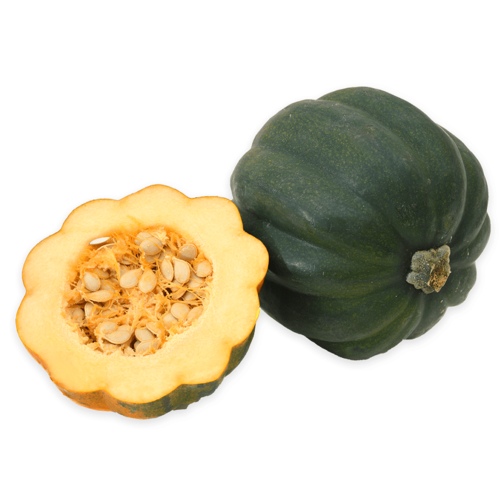 Hard Squash