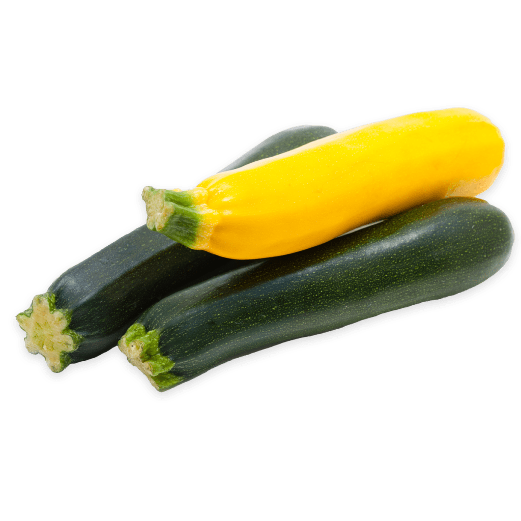 Summer Squash