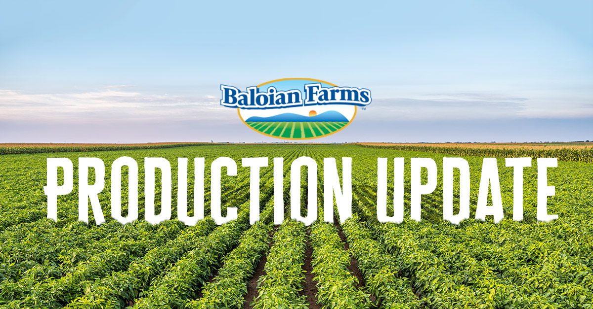 baloian productionupdate 022023