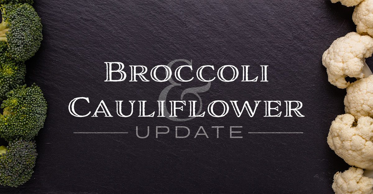 broccauli update 033023