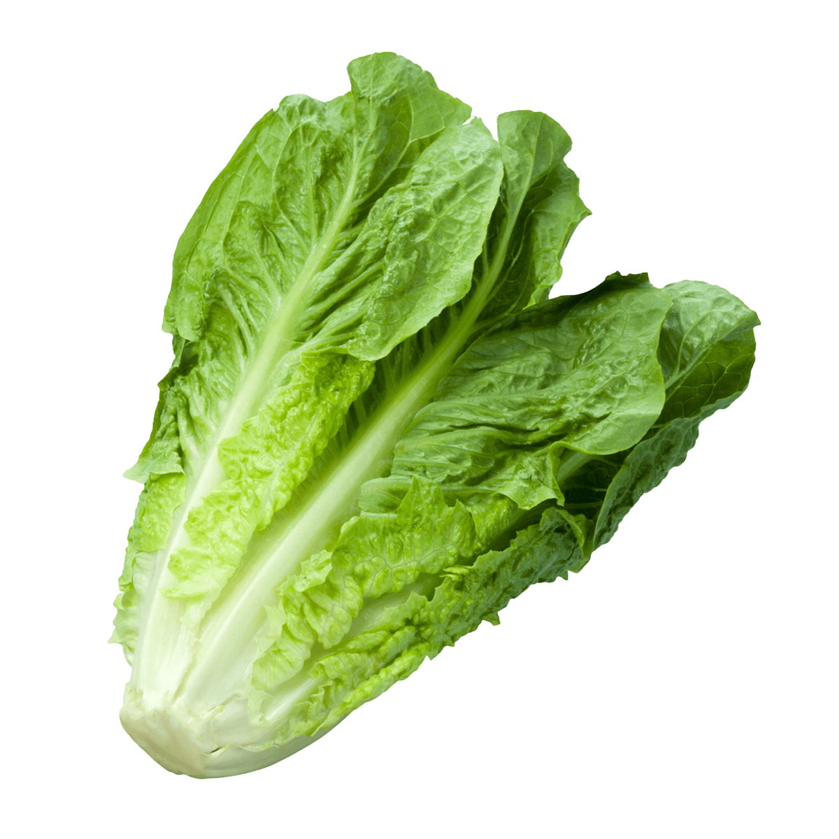 individual product Romaine Lettuce min3