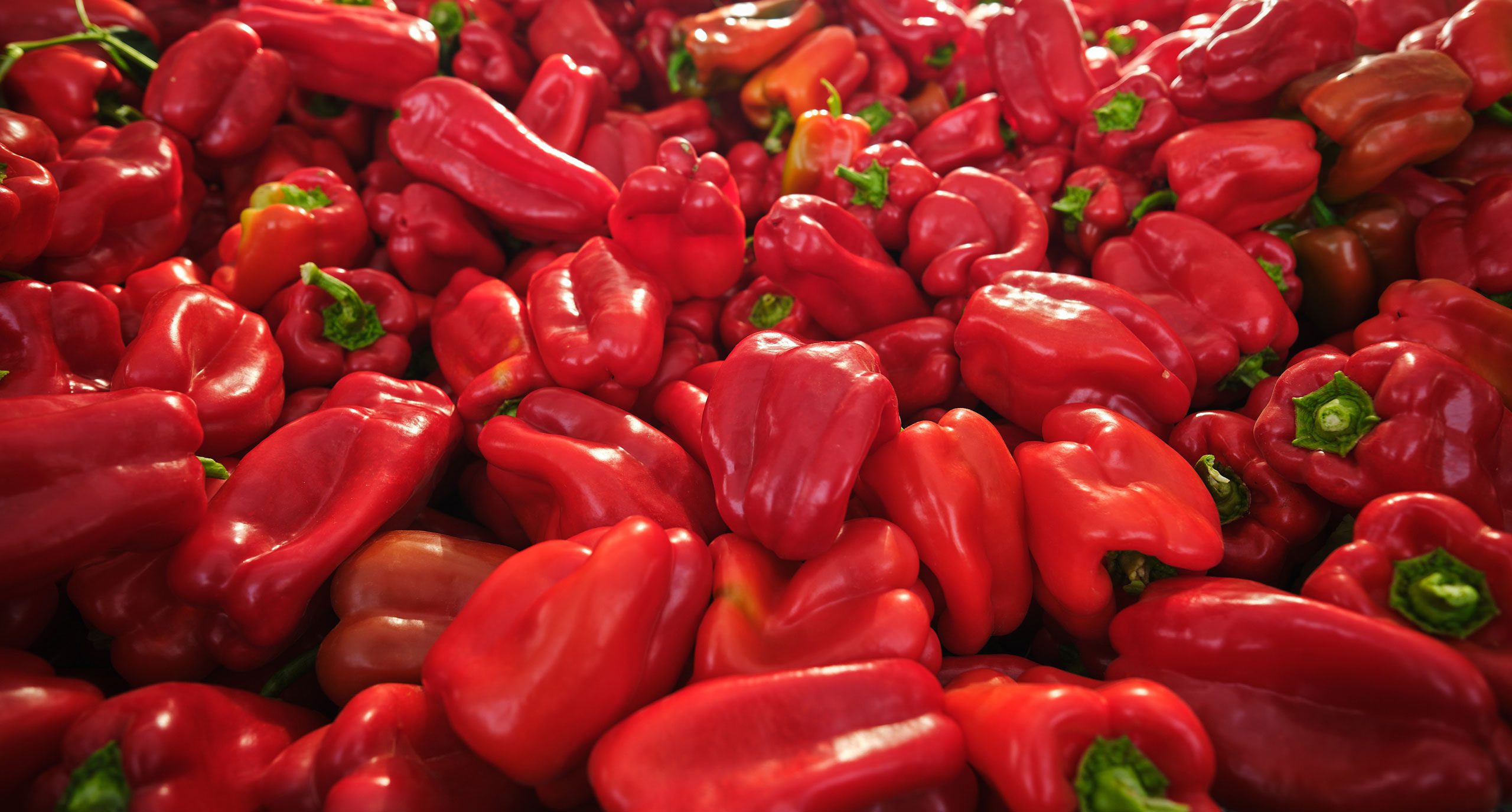 red bell peppers pile