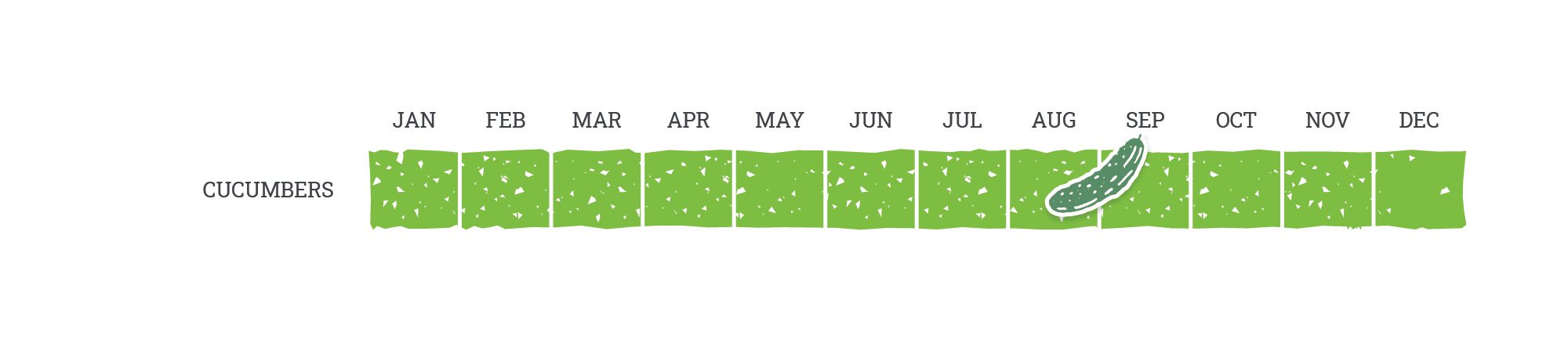 BAF Individual Commodity Calendar Cucumber