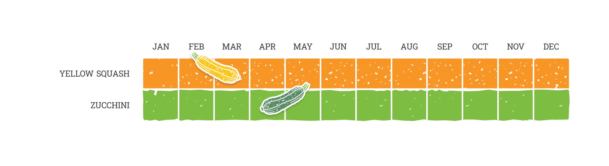 BAF Summer Squash Commodity Calendar