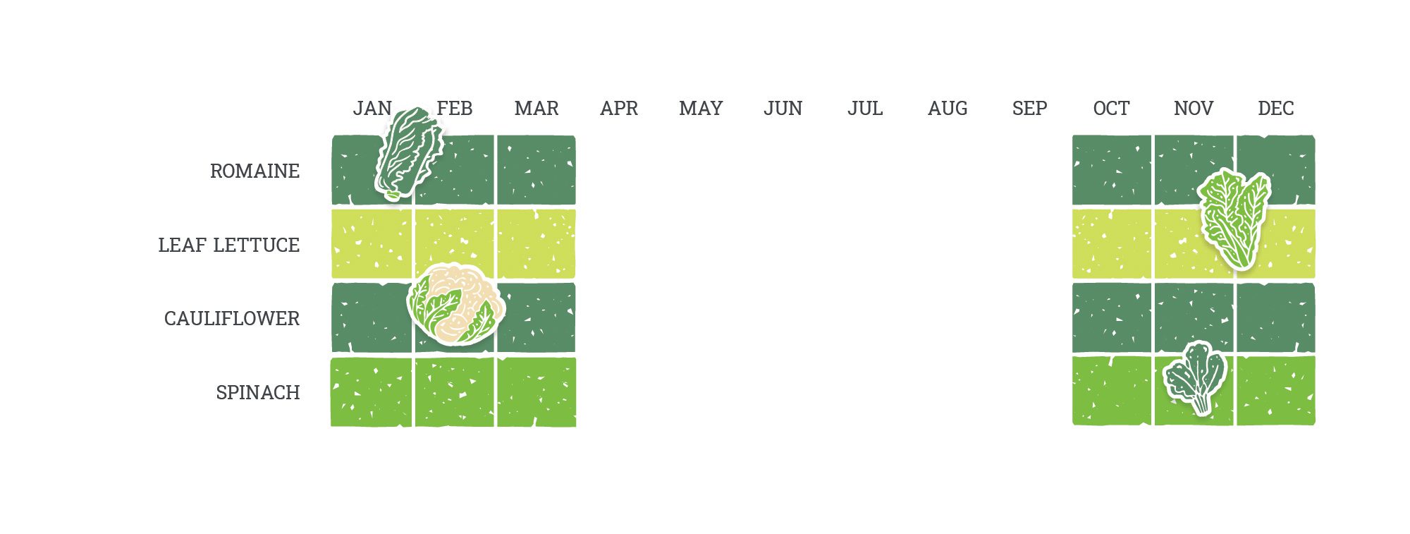 BAF Wet Vegtables Commodity Calendar