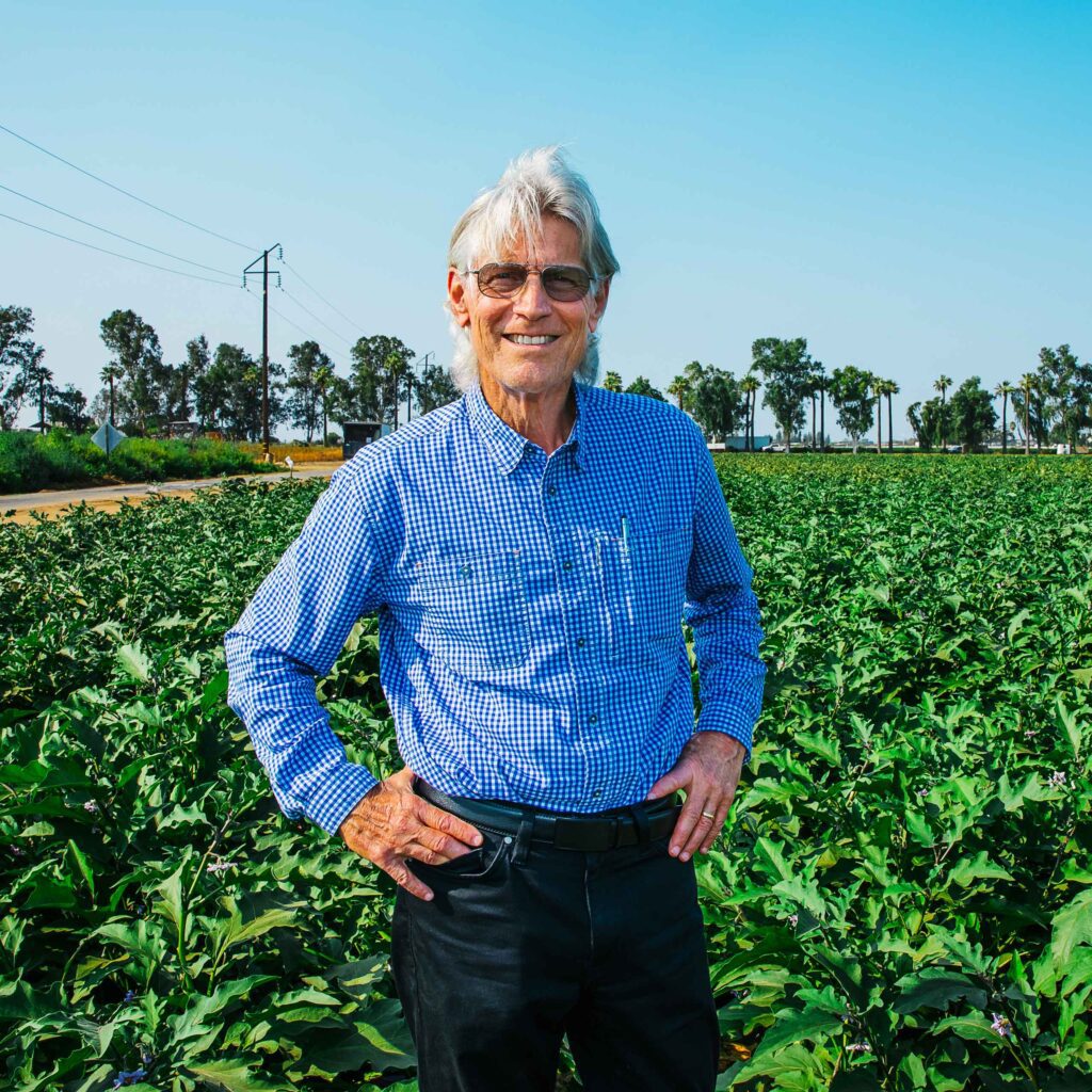 Tim in eggplant field